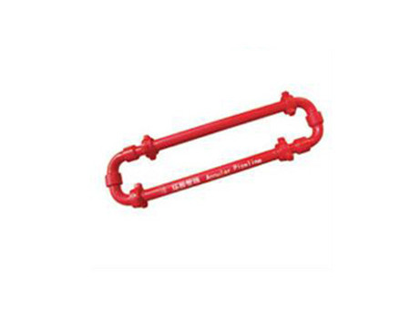 Activity Manifold